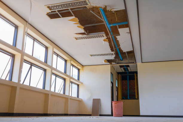 Best 24/7 water damage repair  in Loves Park, IL