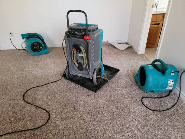 Best Water damage restoration near me  in Loves Park, IL