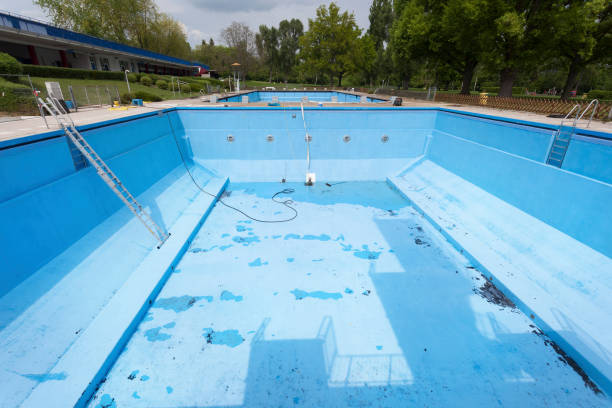 Best Mold removal after water damage  in Loves Park, IL