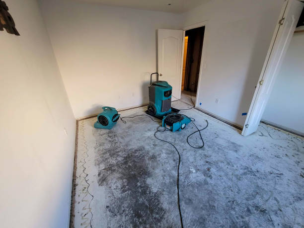 Best Commercial water damage restoration  in Loves Park, IL
