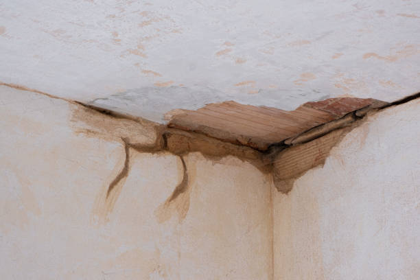 Best Emergency water damage restoration  in Loves Park, IL