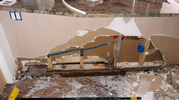 Best Residential water damage restoration  in Loves Park, IL