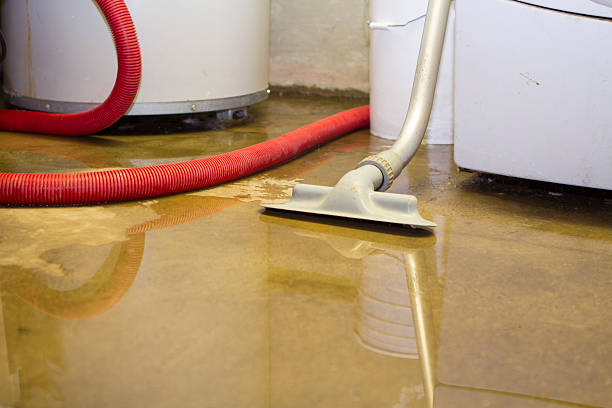 Best Flooded house restoration  in Loves Park, IL