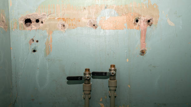 Professional Water damage restoration in Loves Park, IL