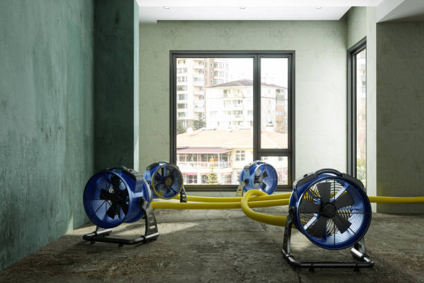 Best Water damage cleanup near me  in Loves Park, IL